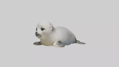 3D model Babyseal Model 1 VR / AR / low-poly
