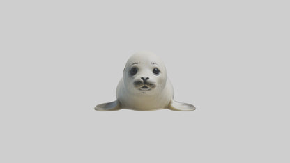 3D model Babyseal Model 1 VR / AR / low-poly