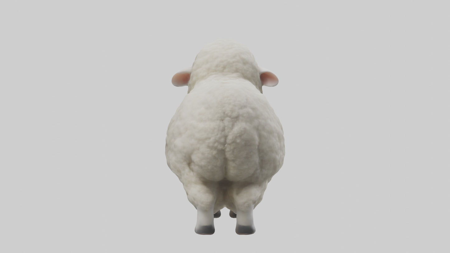 3D model Babysheep Model 1 VR / AR / low-poly