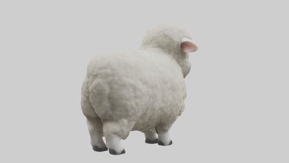 3D model Babysheep Model 1 VR / AR / low-poly