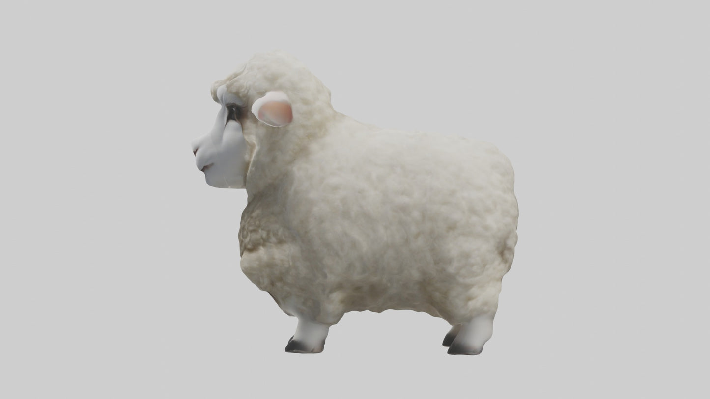 3D model Babysheep Model 1 VR / AR / low-poly