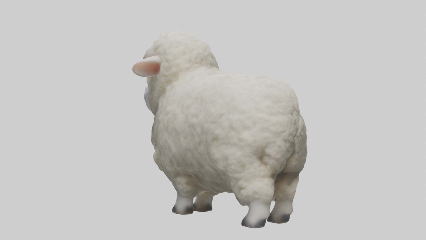 3D model Babysheep Model 1 VR / AR / low-poly