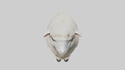 3D model Babysheep Model 1 VR / AR / low-poly