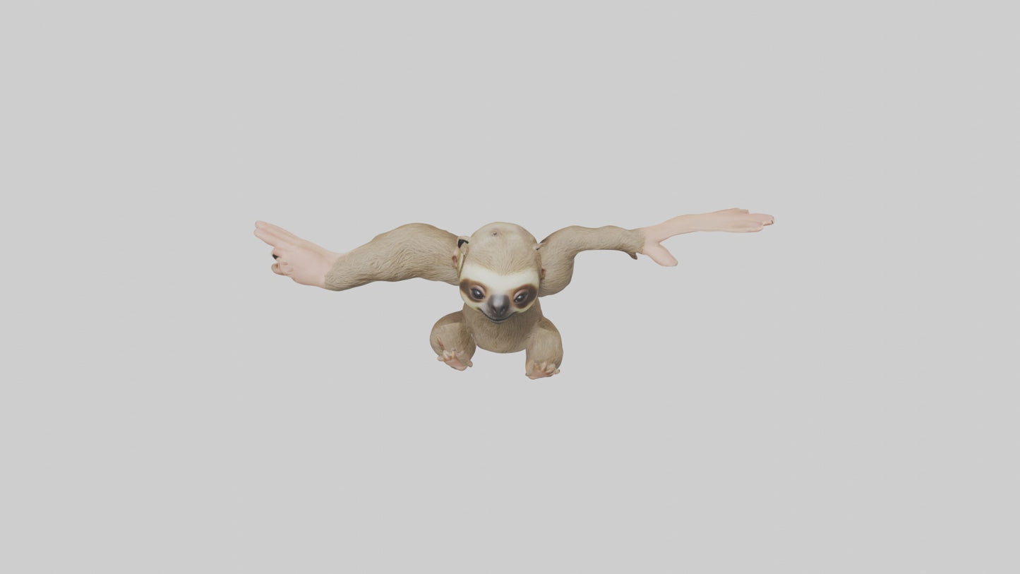 3D model Babysloth Model 1 VR / AR / low-poly