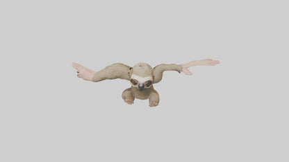 3D model Babysloth Model 1 VR / AR / low-poly