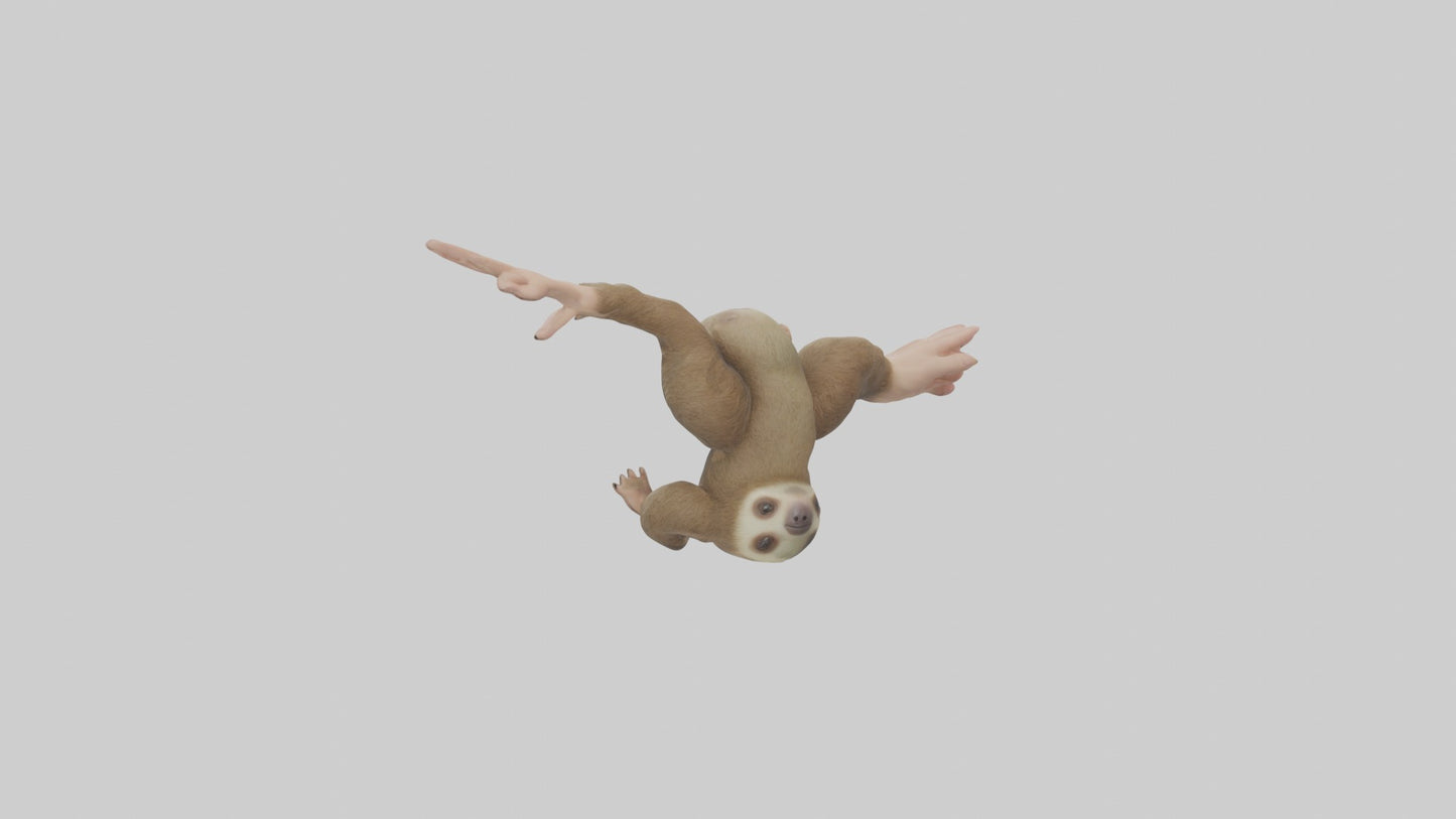 3D model Babysloth Model 1 VR / AR / low-poly