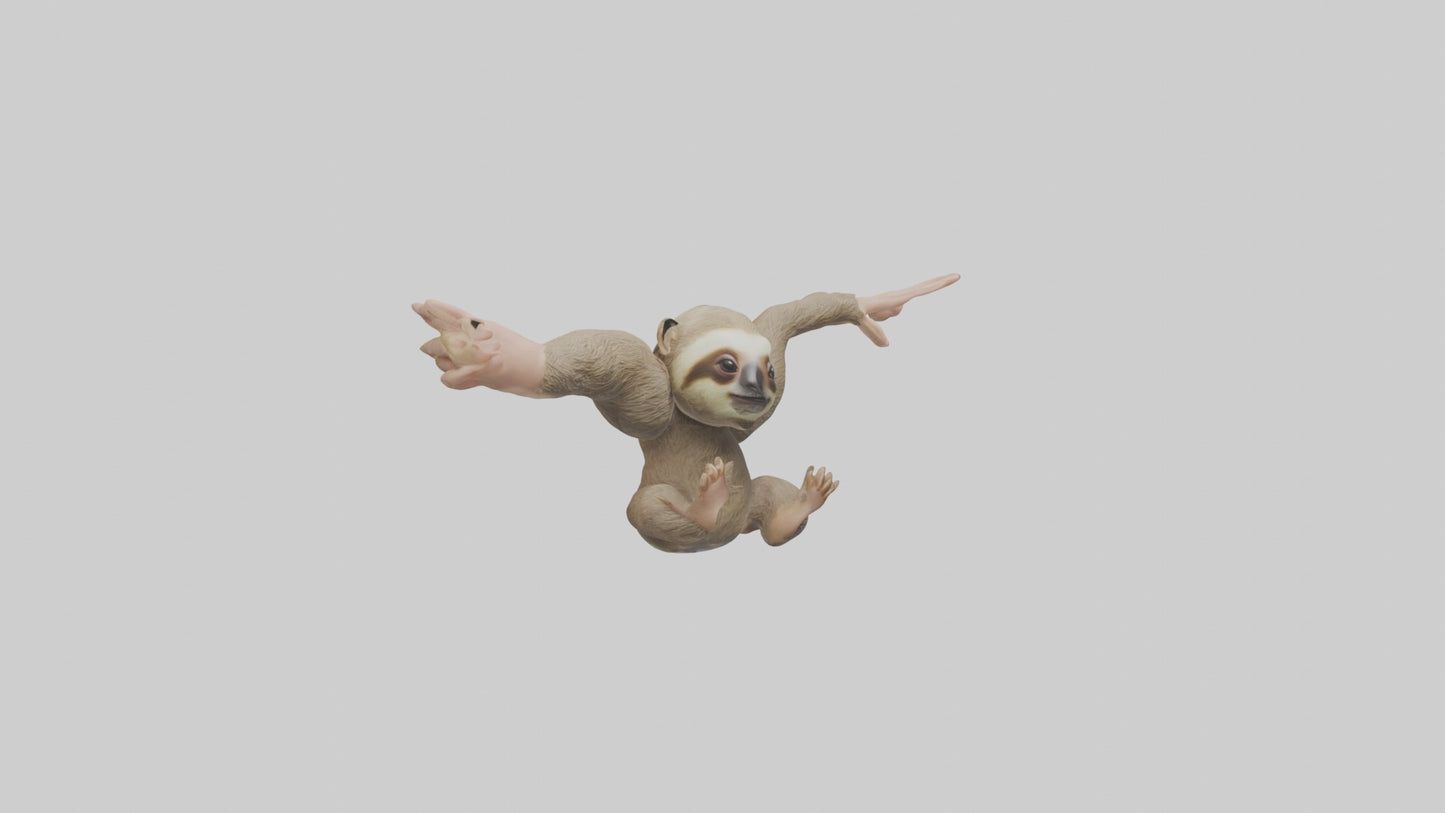 3D model Babysloth Model 1 VR / AR / low-poly