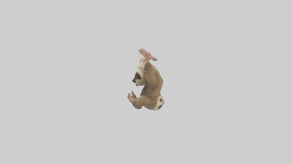 3D model Babysloth Model 1 VR / AR / low-poly