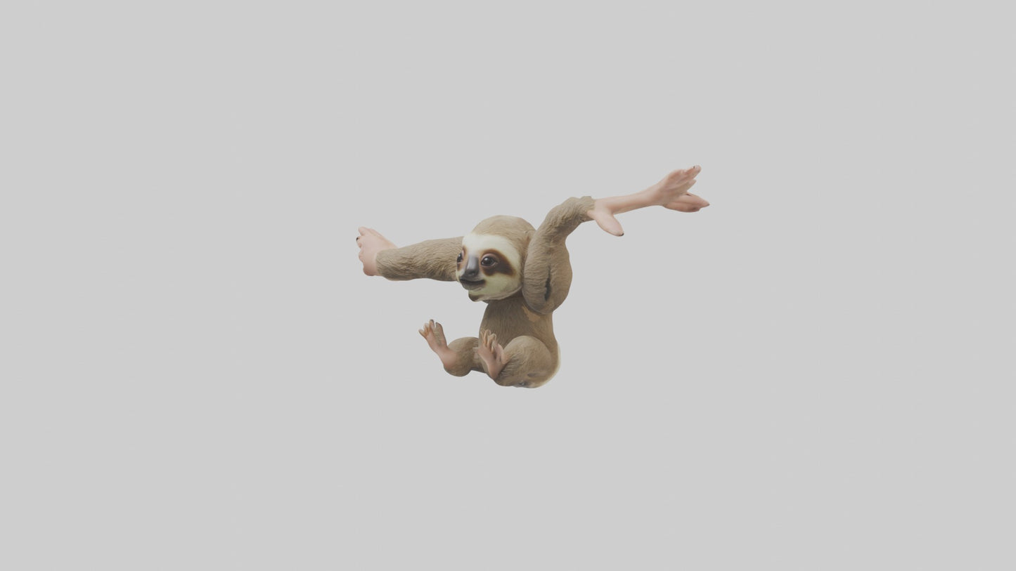 3D model Babysloth Model 1 VR / AR / low-poly