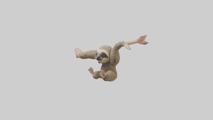 3D model Babysloth Model 1 VR / AR / low-poly