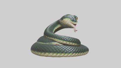 3D model Babysnake Model 1 VR / AR / low-poly