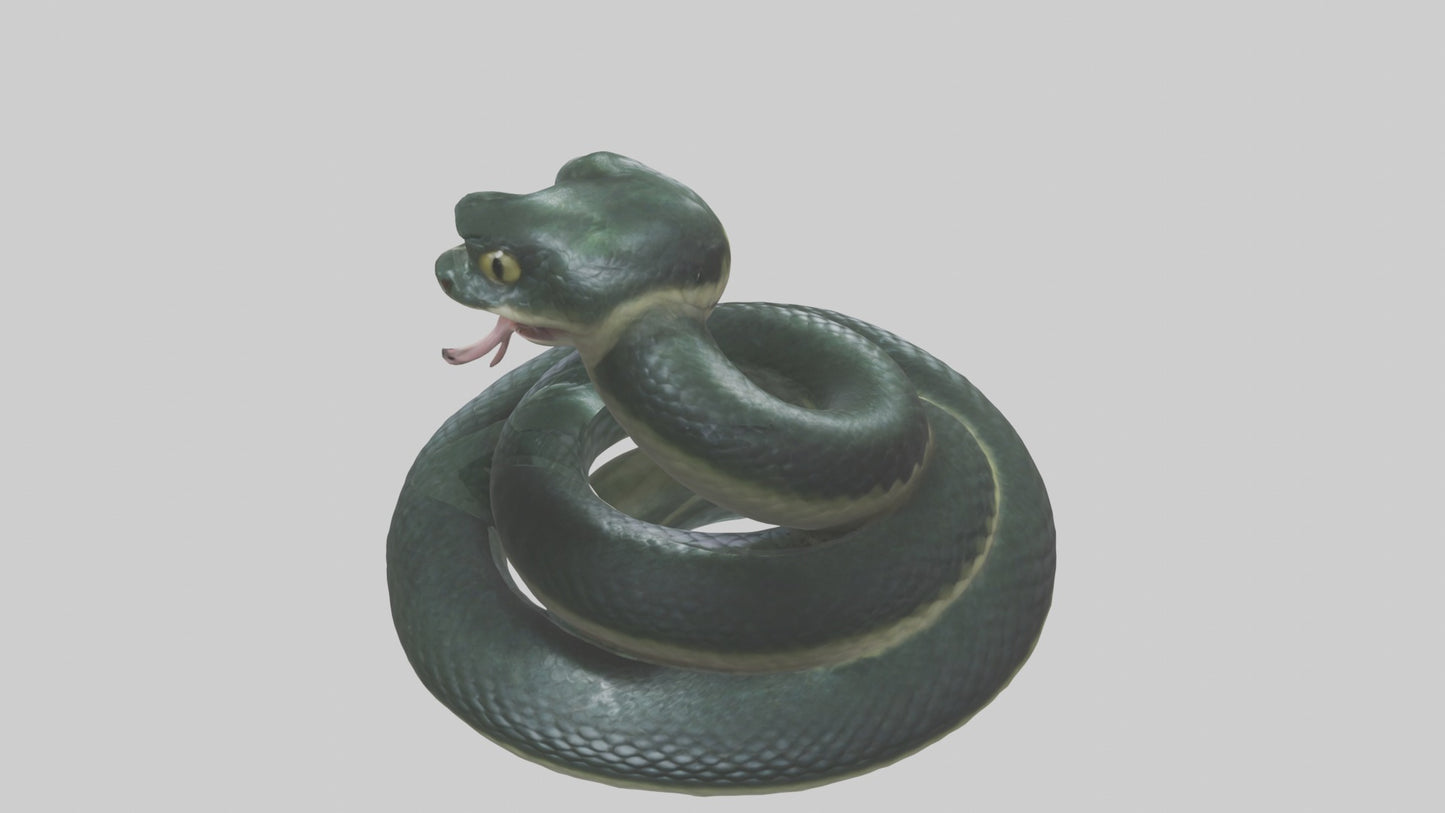 3D model Babysnake Model 1 VR / AR / low-poly