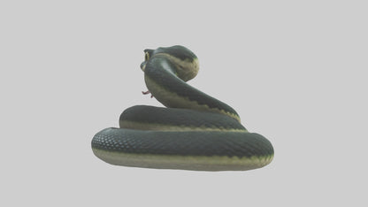 3D model Babysnake Model 1 VR / AR / low-poly
