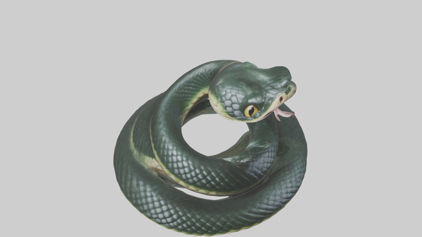 3D model Babysnake Model 1 VR / AR / low-poly