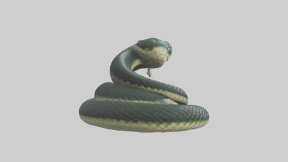 3D model Babysnake Model 1 VR / AR / low-poly