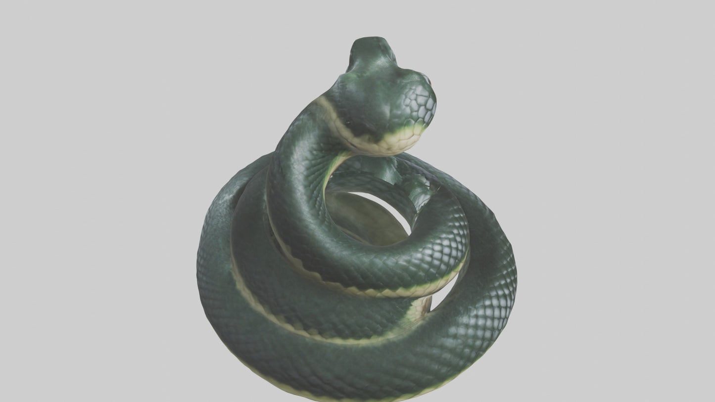 3D model Babysnake Model 1 VR / AR / low-poly