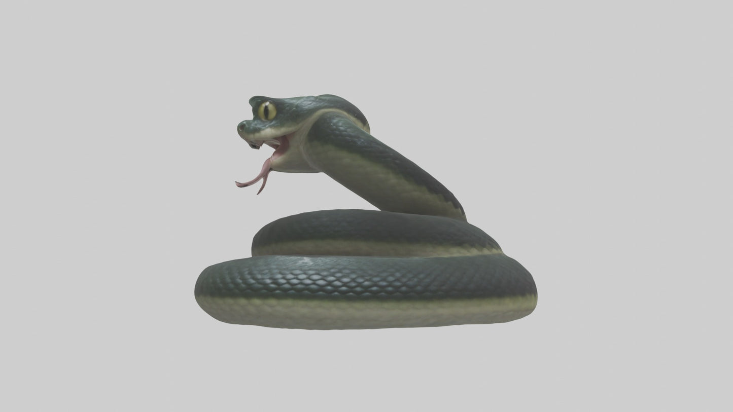 3D model Babysnake Model 1 VR / AR / low-poly