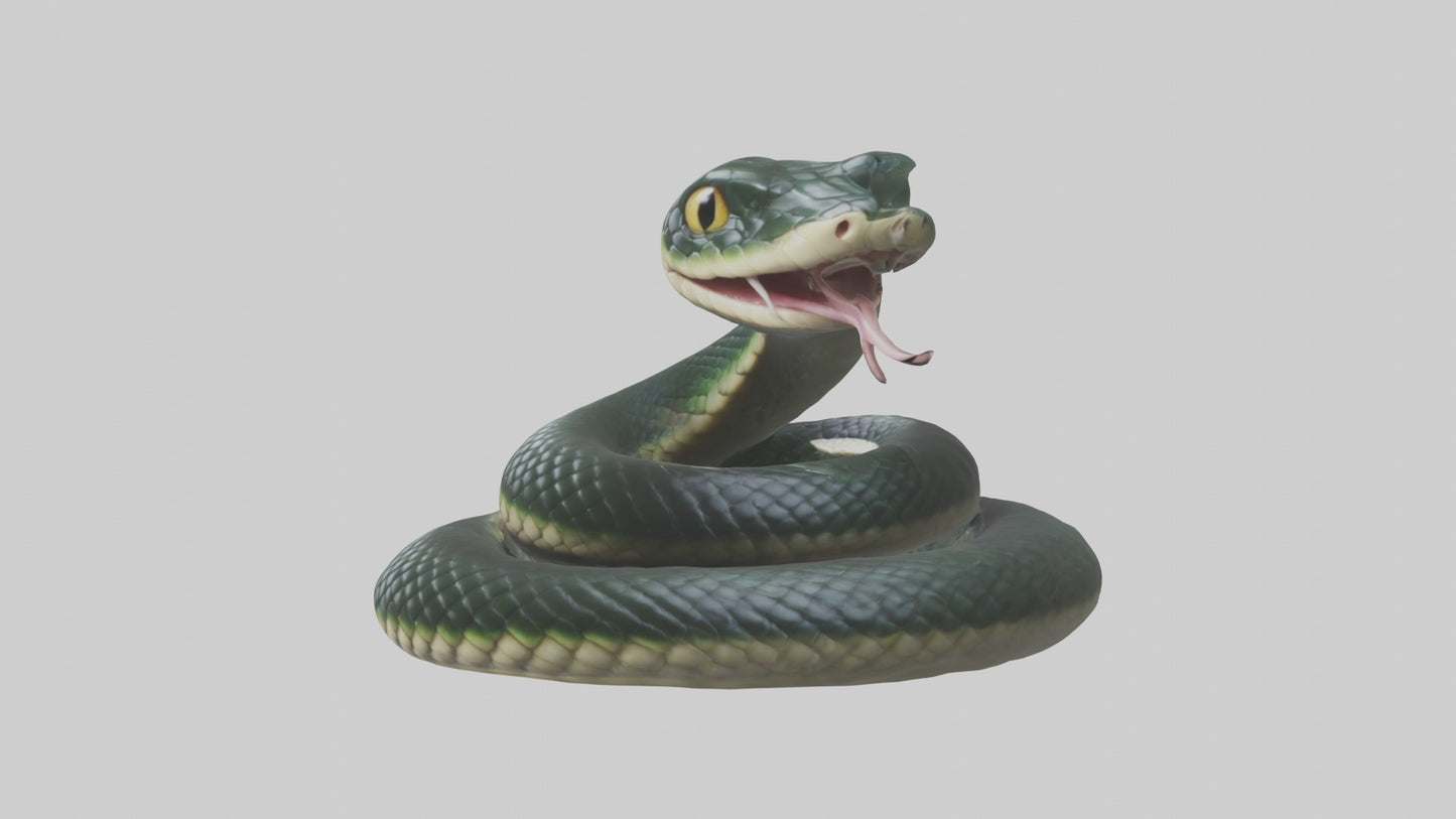 3D model Babysnake Model 1 VR / AR / low-poly