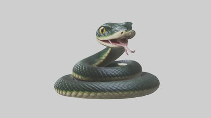 3D model Babysnake Model 1 VR / AR / low-poly