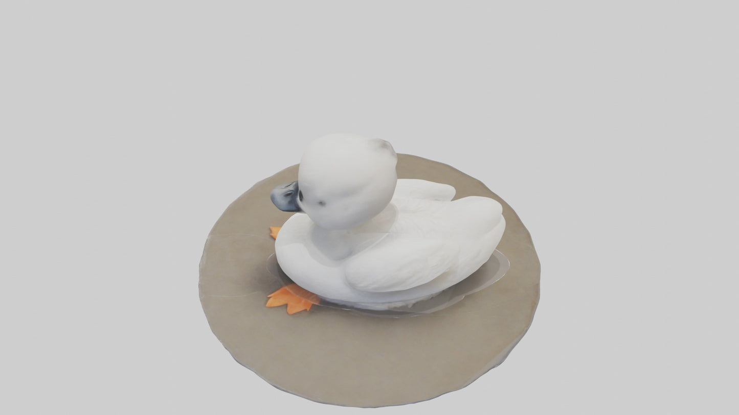 3D model Babyswan Model 1 VR / AR / low-poly