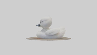 3D model Babyswan Model 1 VR / AR / low-poly
