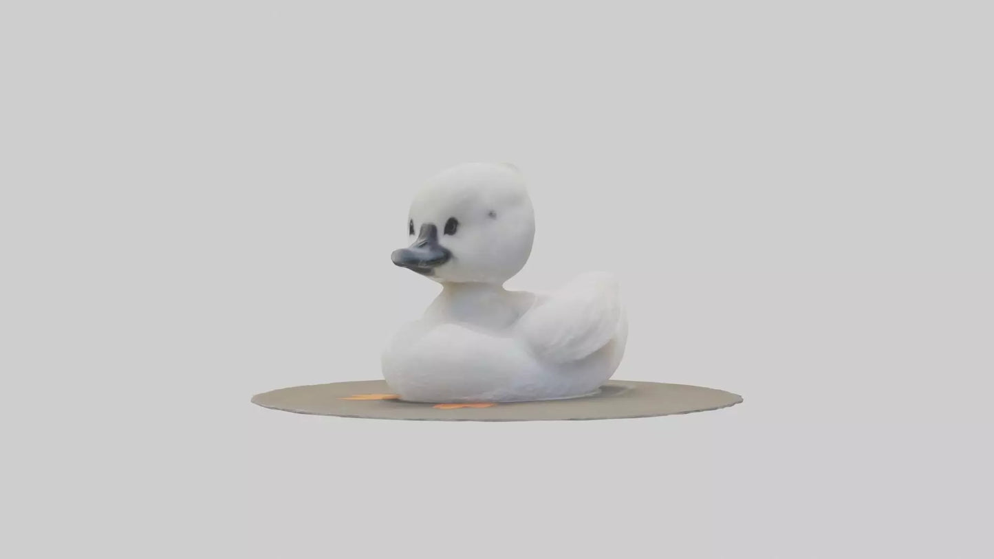 3D model Babyswan Model 1 VR / AR / low-poly
