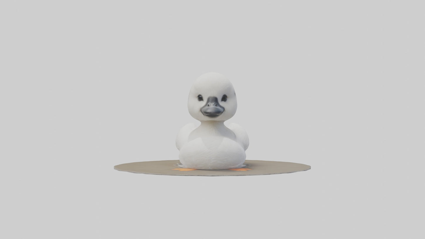 3D model Babyswan Model 1 VR / AR / low-poly