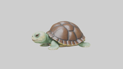 3D model Babyturtle Model 1 VR / AR / low-poly