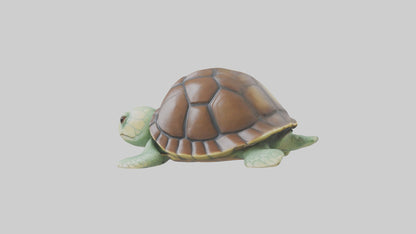 3D model Babyturtle Model 1 VR / AR / low-poly