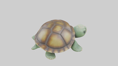 3D model Babyturtle Model 1 VR / AR / low-poly