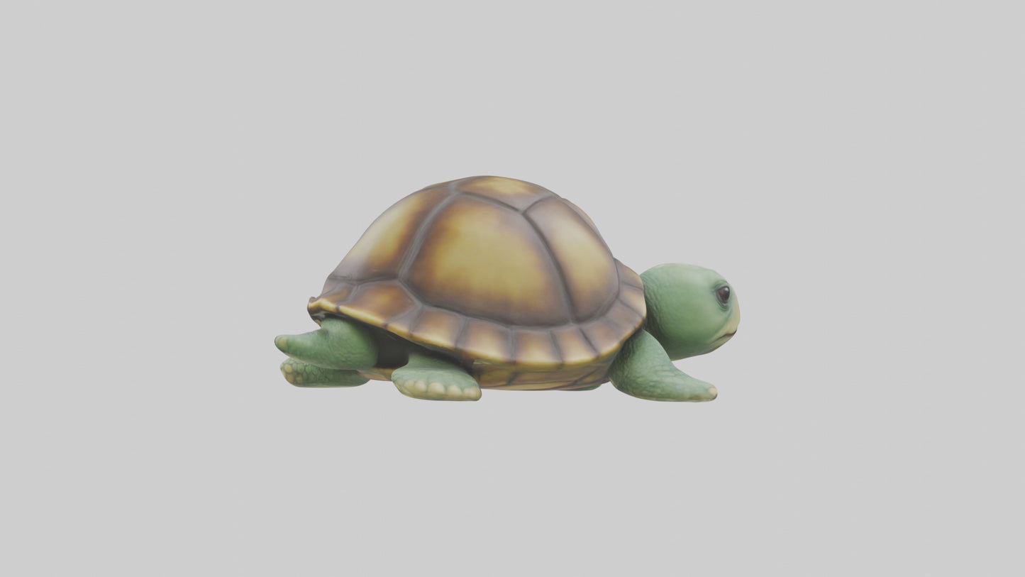3D model Babyturtle Model 1 VR / AR / low-poly