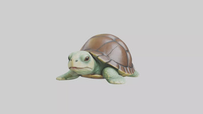 3D model Babyturtle Model 1 VR / AR / low-poly