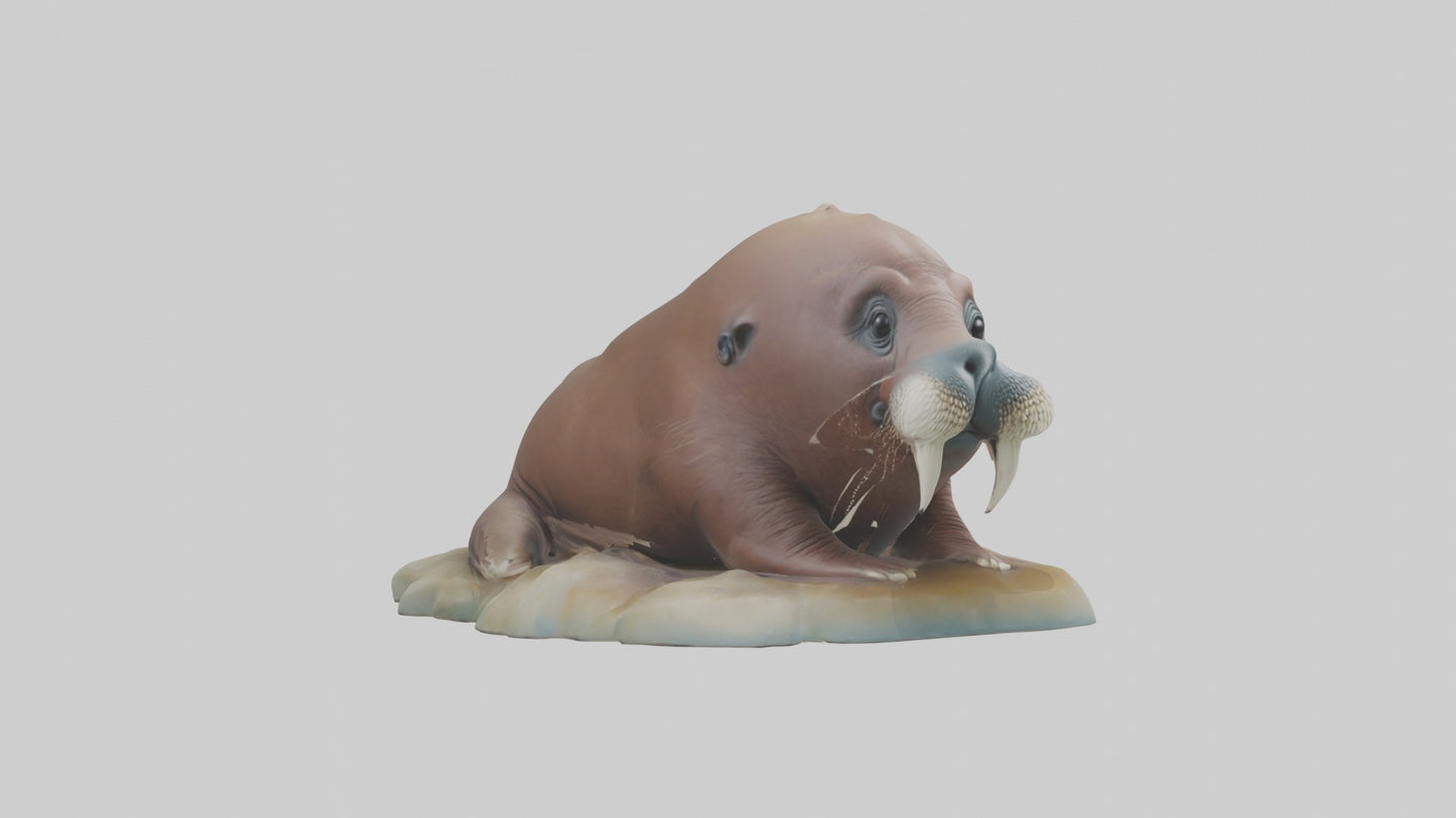 3D model Babywalrus Model 1 VR / AR / low-poly