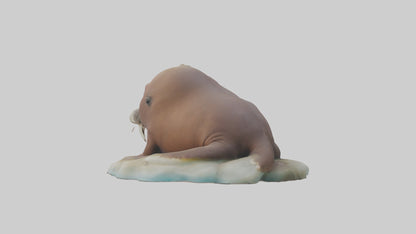 3D model Babywalrus Model 1 VR / AR / low-poly