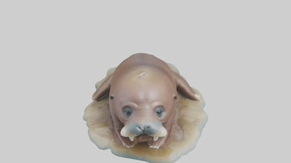 3D model Babywalrus Model 1 VR / AR / low-poly