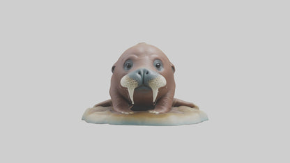 3D model Babywalrus Model 1 VR / AR / low-poly