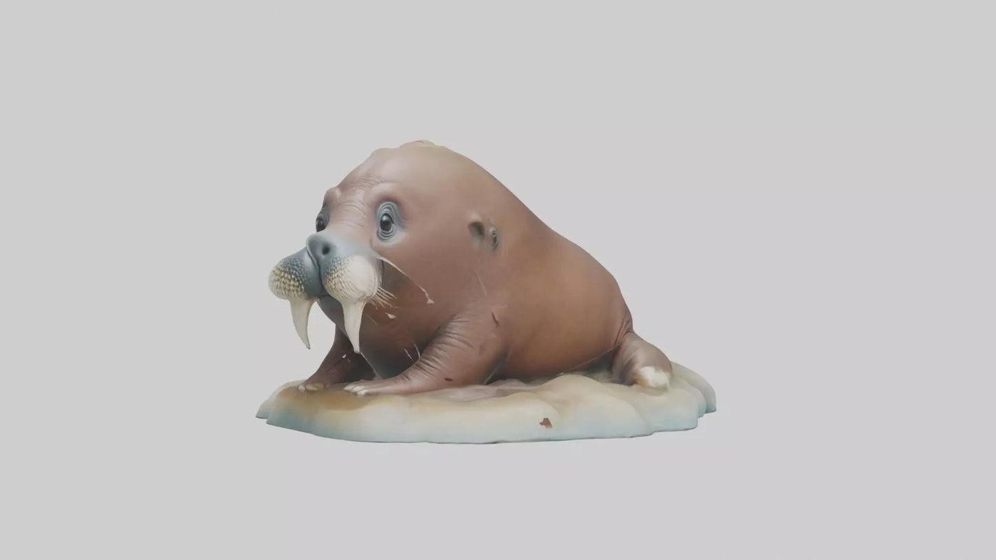 3D model Babywalrus Model 1 VR / AR / low-poly