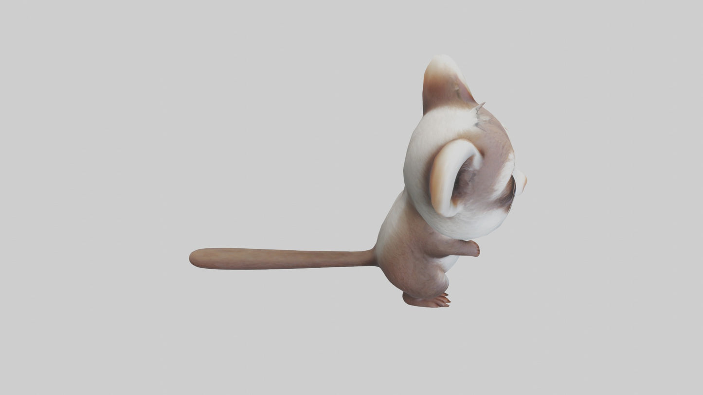 3D model Babyweasel Model 1 VR / AR / low-poly
