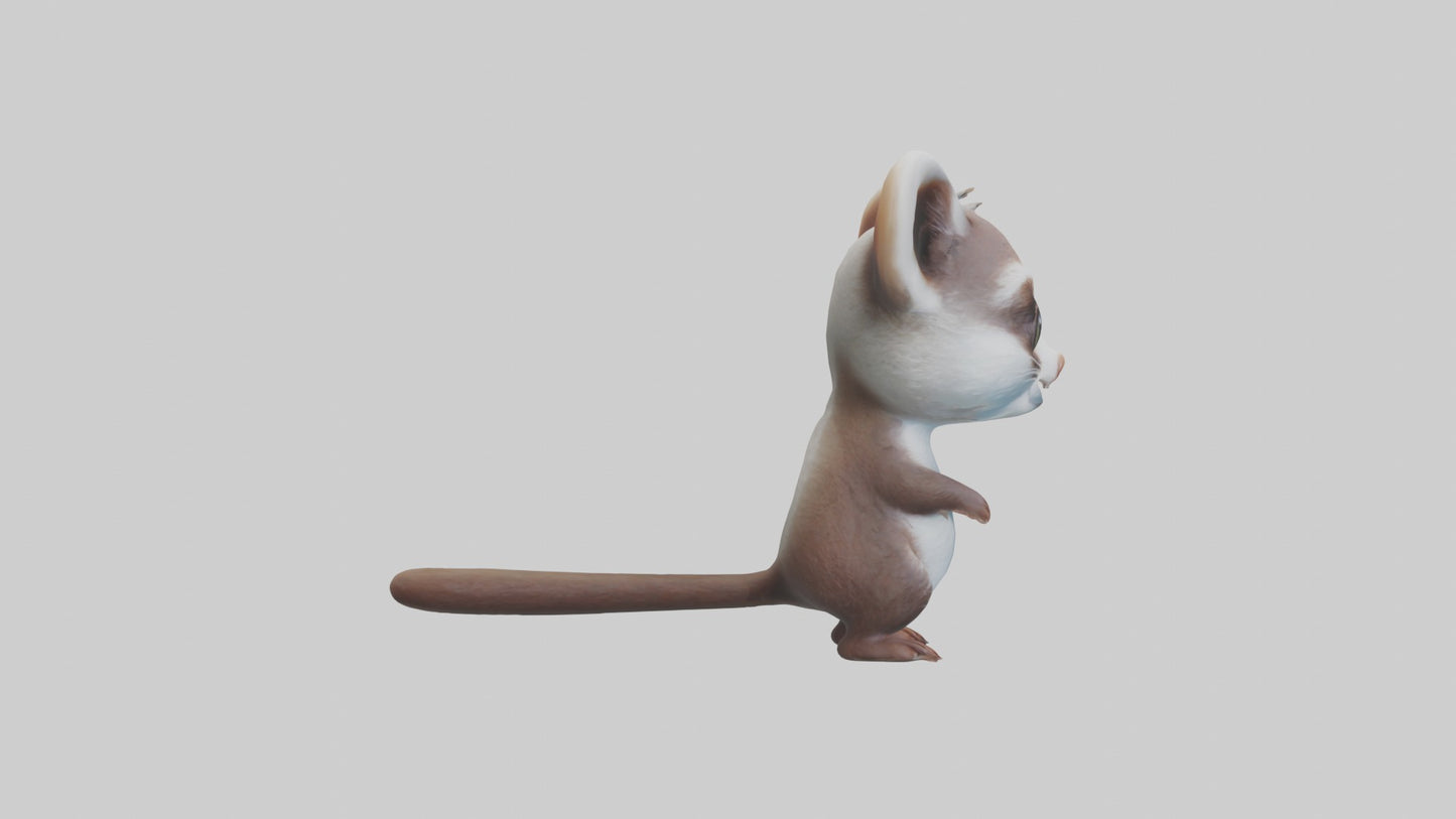 3D model Babyweasel Model 1 VR / AR / low-poly