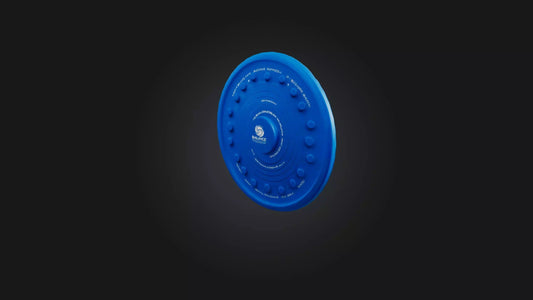 3D model Balance Disc VR / AR / low-poly