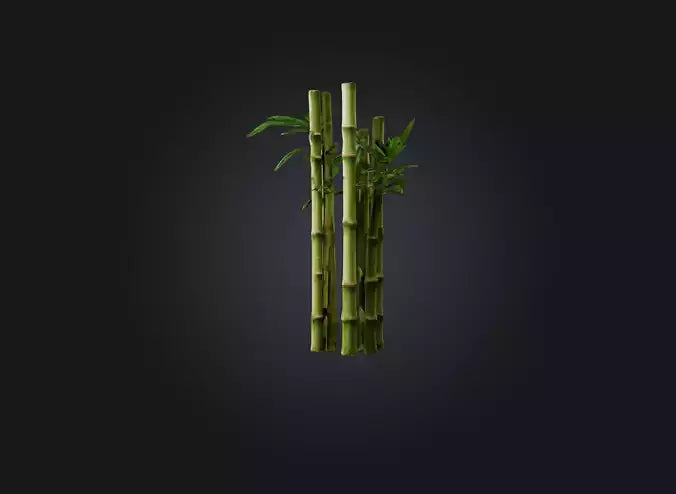 3D model bamboo VR / AR / low-poly