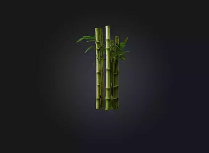 3D model bamboo VR / AR / low-poly