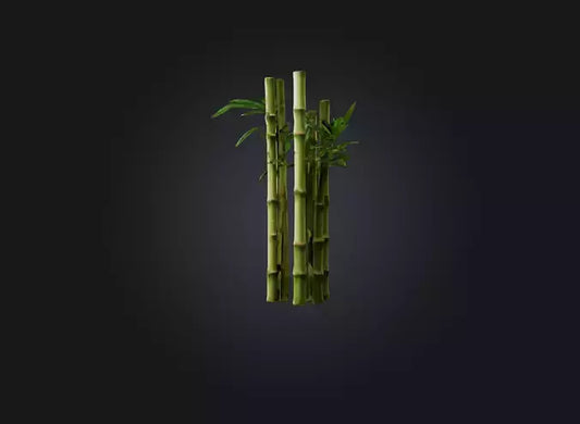 3D model bamboo VR / AR / low-poly
