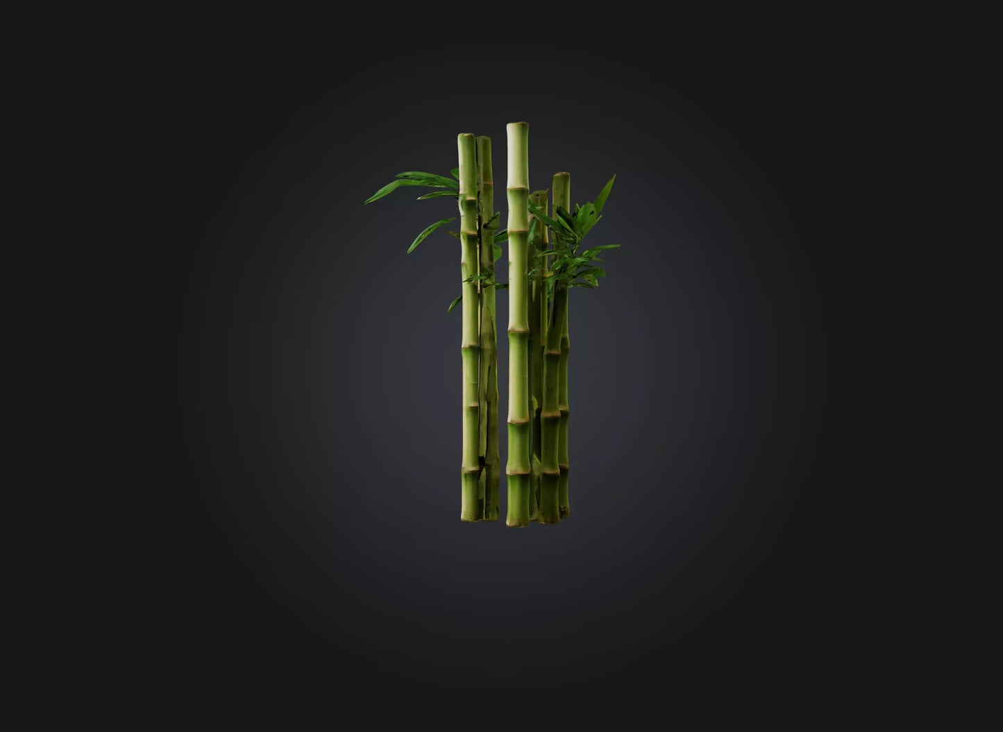 3D model bamboo VR / AR / low-poly