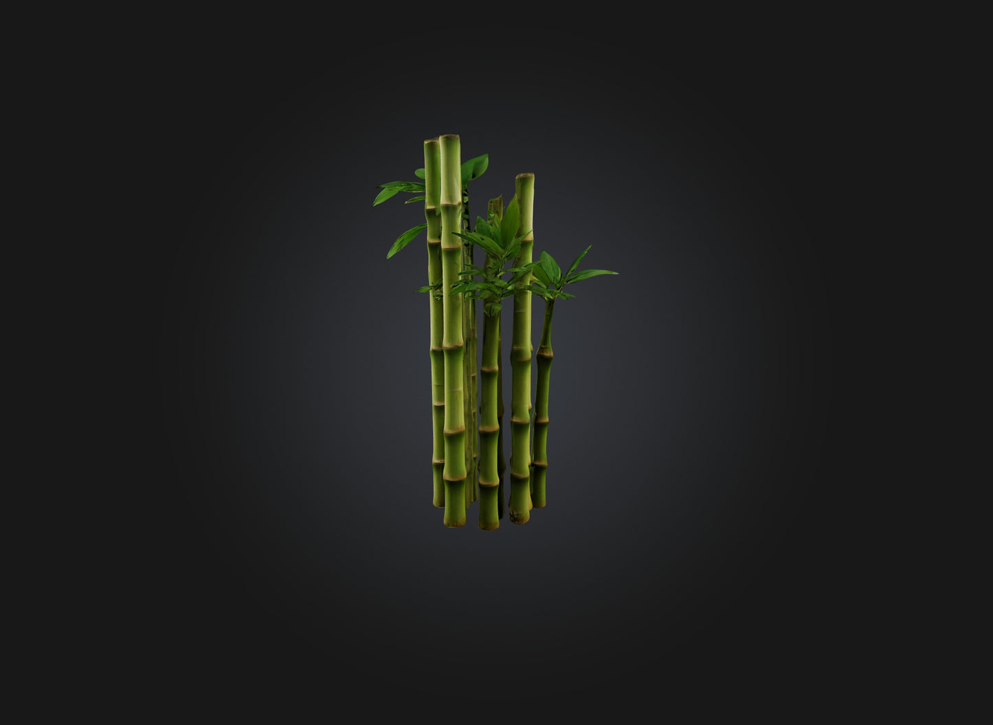 3D model bamboo VR / AR / low-poly