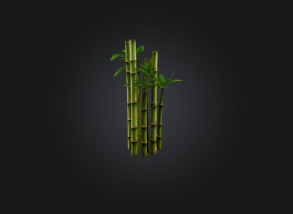 3D model bamboo VR / AR / low-poly