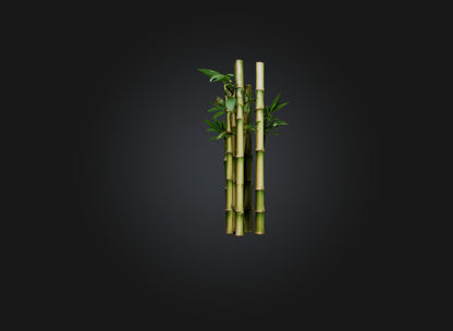 3D model bamboo VR / AR / low-poly