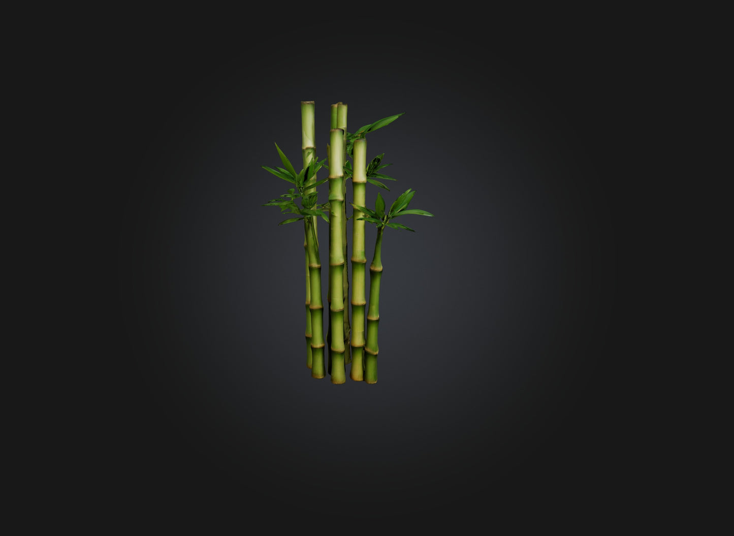 3D model bamboo VR / AR / low-poly
