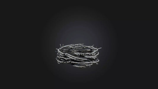 3D model Barbed Wire VR / AR / low-poly