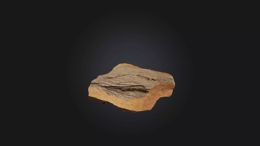 3D model Bark Fragment Model VR / AR / low-poly